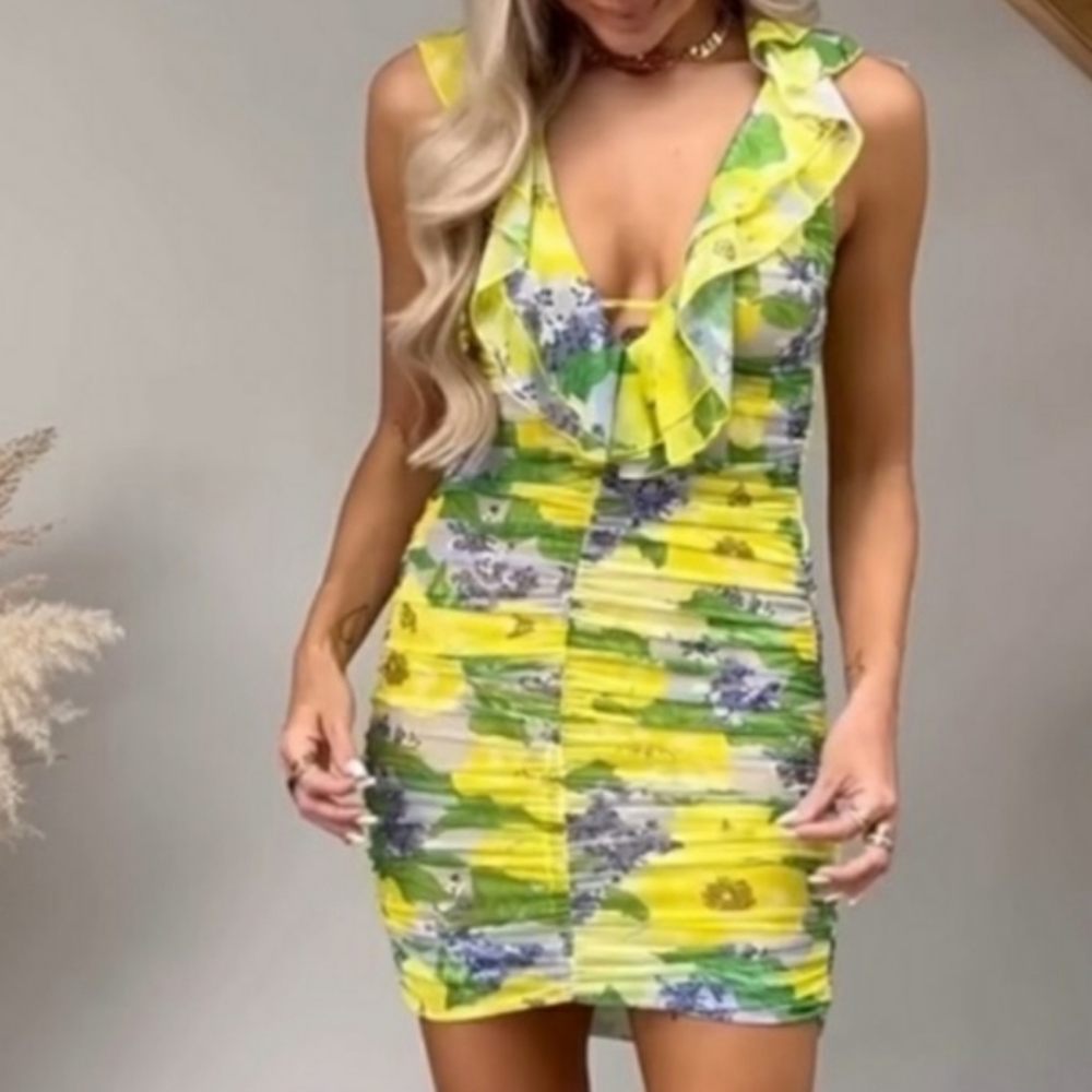 ZARA Tulle floral mini dress